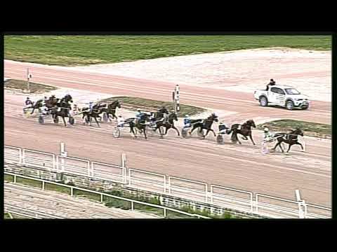 Trotto 01/03/2020 - 1ª corsa