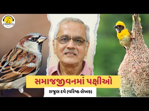વિશેષ મુલાકાત