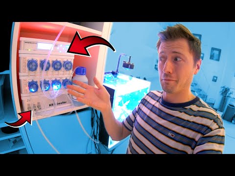 Ein XXL Computer fürs Aquarium! 😳
