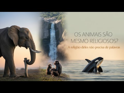 OS ANIMAIS SÃO MESMO RELIGIOSOS? – SÓ QUE A RELIGIÃO DELES NÃO CABE NAS NOSSAS DEFINIÇÕES