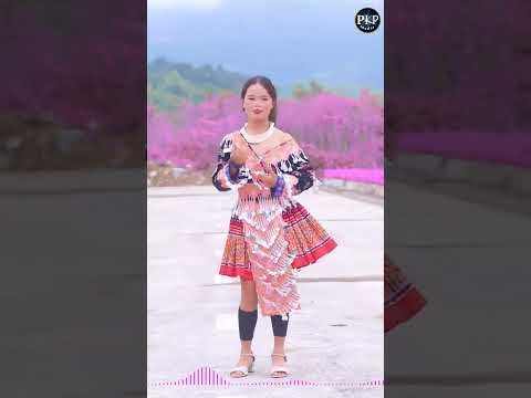 nyab nyiaj ReMix -  Seev cev Maiv Tshaus