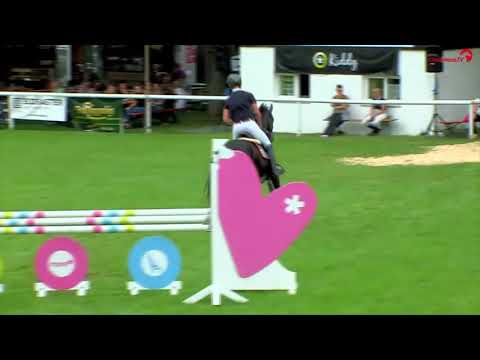 QUITOLL - www.gestuet-sprehe.de