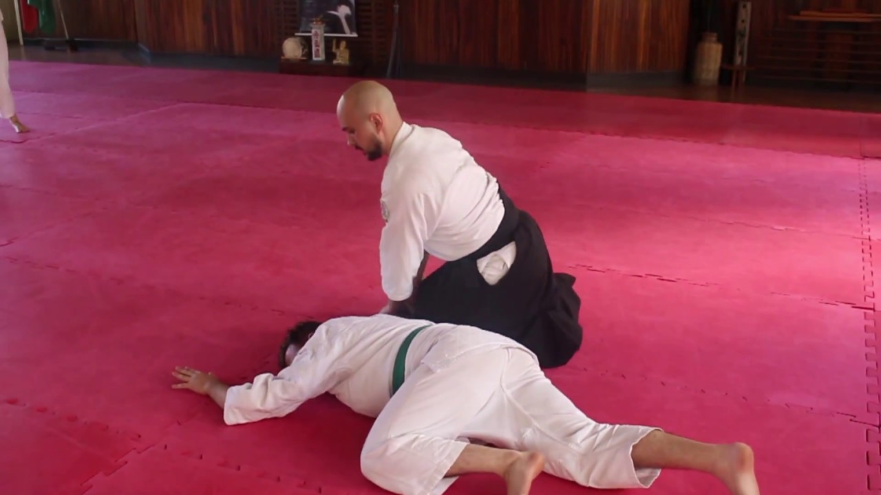 Imagem: Juiz de Fora tem fim de semana com Aikido e Hapkido