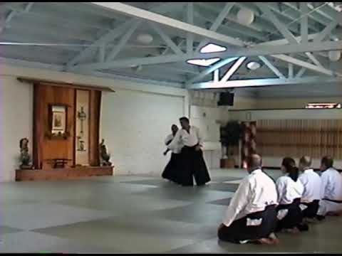 Makoto Dojo Aikido / Circular Technique from Uke Nagashi Deflection  - Feb 2004
