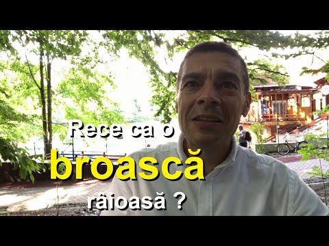 Rece ca o broască râioasă? (Tiberiu Ciubotari)