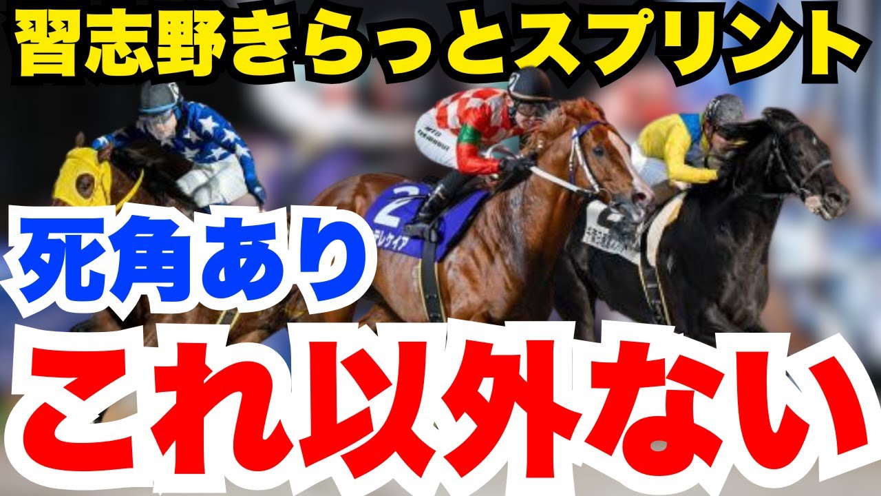 【閲覧注意】この動画を見ずに習志野きらっとスプリントを買う人は養分です。