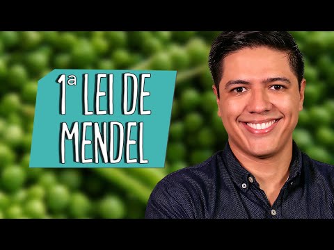 MENDEL'S 1ST LAW - Genetics - Prof. Kennedy Ramos