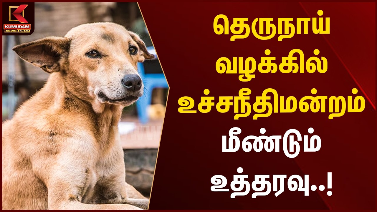 BREAKING : தெருநாய் வழக்கின் உச்சநீதிமன்றம் மீண்டும் உத்தரவு..! | Street Dogs | Kumudam News