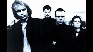The Auteurs - "Junk Shop Clothes" : BBC Radio 1 session  02.01.93. / January 2nd 1993.