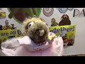 Yolanda The Rat Sings Just Around The Riverband