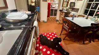 8 x 5 Minute Speed Clean With Me Early Morning Routine #earlymorningcleaningroutine