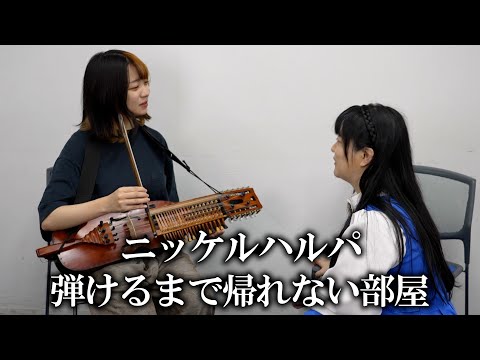 【北欧】え、この楽器初心者にも弾けるって本当ですか【ニッケルハルパ弾いてみた】