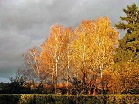 Neşe Can-Yine Hazan Mevsimi Geldi