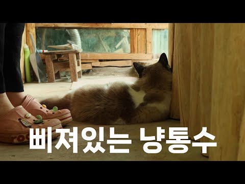 혼자만 밥 안 먹고 삐져있음