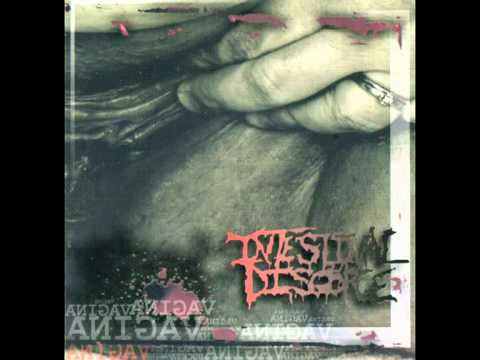 VAGINA - この曲を聴け!