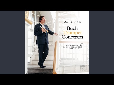 Concerto in G Major, BWV 978 (After RV 310) : I. Allegro