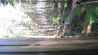 preview picture of video 'Zip-lining in Sherwood Forest near Nottingham, UK'