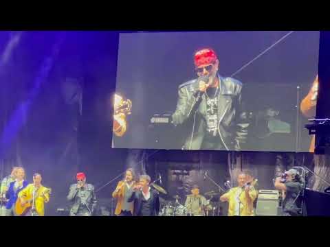 Zentralfriedhof-OSTPARTIE+Jungen Tenöre+Sebastian Krieger-Nachklang Wien 29.8.25