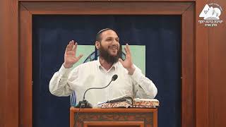 קדושת החיים בארץ ישראל | הרב שחר אימבר | שיחות התחזקות | 25 (ישיבת ברכת יוסף - אלון מורה) - התמונה מוצגת ישירות מתוך אתר האינטרנט יוטיוב. זכויות היוצרים בתמונה שייכות ליוצרה. קישור קרדיט למקור התוכן נמצא בתוך דף הסרטון קדושת החיים בארץ ישראל | הרב שחר אימבר | שיחות התחזקות | 25 (ישיבת ברכת יוסף - אלון מורה) - התמונה מוצגת ישירות מתוך אתר האינטרנט יוטיוב. זכויות היוצרים בתמונה שייכות ליוצרה. קישור קרדיט למקור התוכן נמצא בתוך דף הסרטון