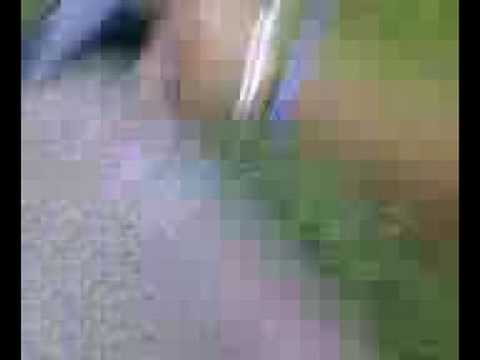 Bull mi attacca alle palle!