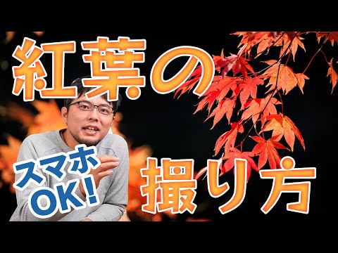 紅葉を上手に使おう トピックス