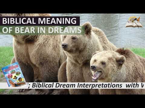 Biblical Meaning of BEAR in Dream - Spiritual and Prophetic Meaning