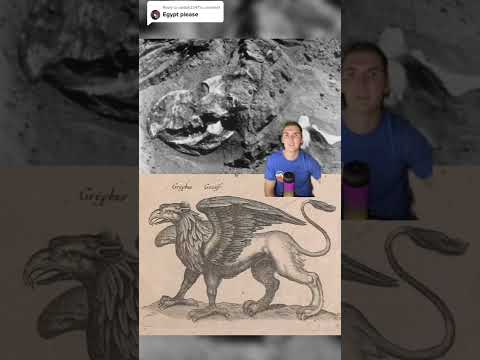 GRIFFIN IRL 🦖😳