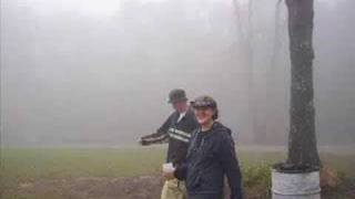 carbon leaf - life less ordinary