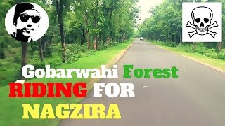 preview picture of video 'DENSE FOREST RIDE IN GOBARWAHI-CHICHOLI REGION.#mayursharmariding.#denseforest.'