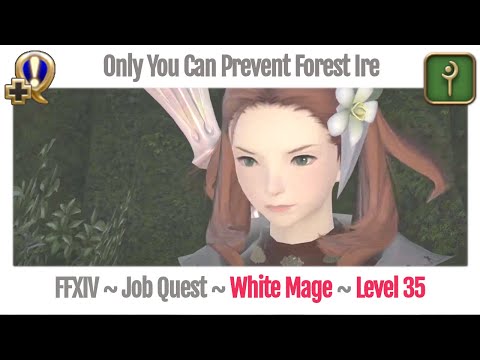 FFXIV White Mage Level 35 Job Quest ~ A Realm Reborn ~ Only You Can Prevent Forest Ire