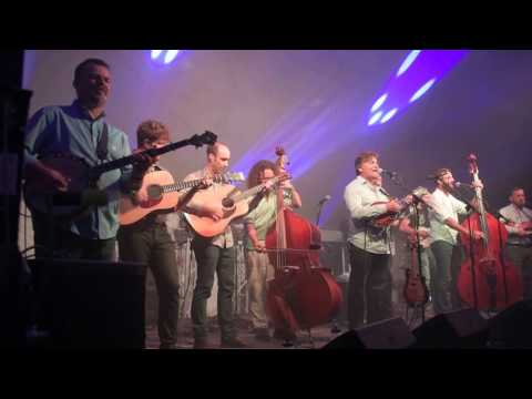 Grateful Ball | Brown Eyed Women | ARISE Festival | gratefulweb.com