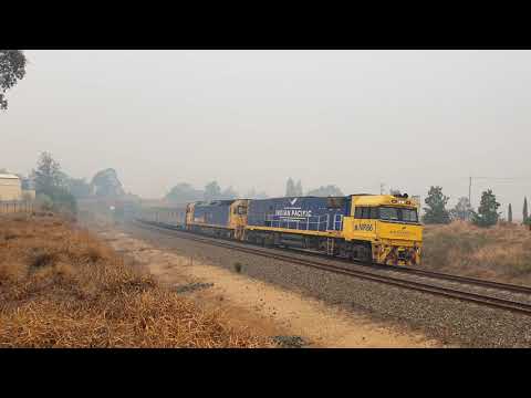 3AS8 Indian Pacific with NR86+G530