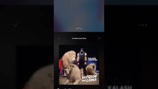 kalash criminel - la fosse aux lions 2019 - dans la tête