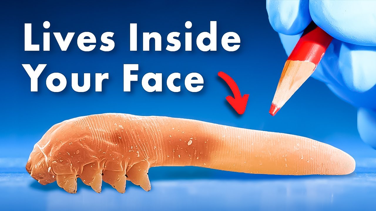Everything You Didn’t Know About Organisms Living Inside You