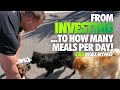 JAYWALKING - FROM INVESTING TO HOW MANY MEALS PER DAY!