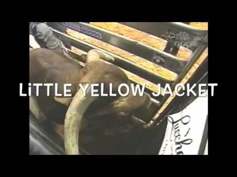 Little Yellow Jacket!!