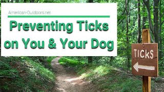 Preventing Ticks On You and Your Dog