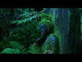 Peaceful Buddha WhatsApp Status