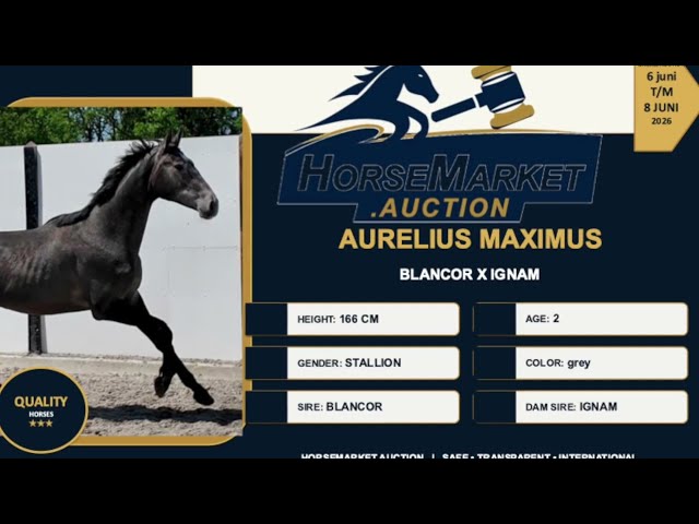 Aurelius Maximus