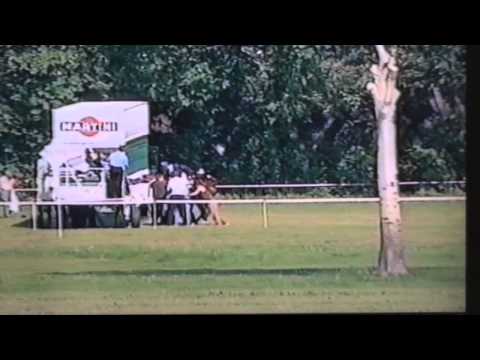 Nagroda Rulera - 25.05.2003 - Domart  (Baby Bid - Dominet)