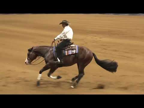 Andrea Fappani - His score of 229 was rewarded with 100X Open Derby, NARS Open Derby!