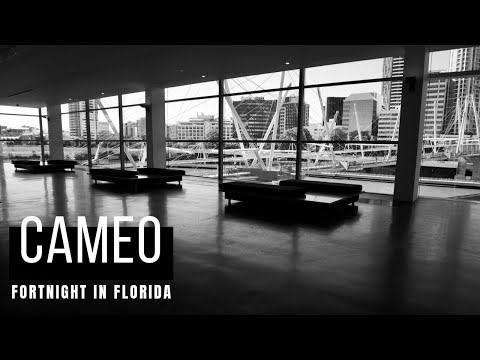 Fortnight In Florida - Cameo