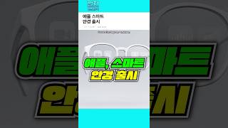 애플 스마트 안경 출시