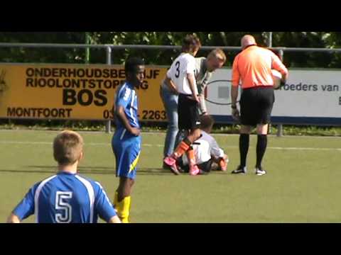 1e helft Legmeervogels