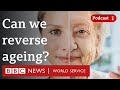 Have We Already Found The Fountain Of Youth The Global Story BBC World Service