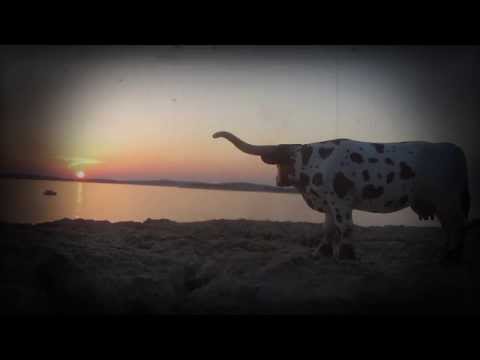 COPY 004 - Bnsch & Debal Sommer - Horse In The Door (Video Cut)