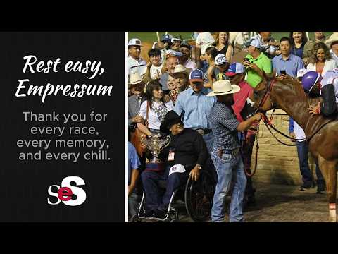 Quarter Horse Racing Legend Empressum Dies Following Injury in Los Alamitos Championship