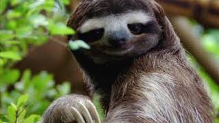 Ep. 5- Honesty: Inside and Out // The Two Sides of Me and My Thoughts on Punishment