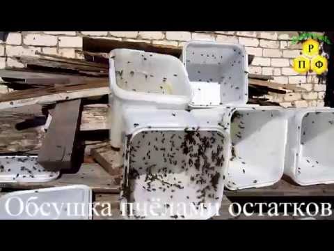 Обсушка пчёлами остатков мёда в куботейнерах