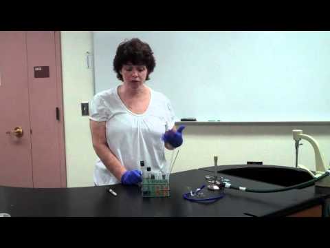 Urease and Litmus Milk Test